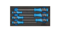 Gedore 1500 CT1-2163 TXB 3-C 6 Delige Beveiligde Torx Schroevendraaierset In 1/3 CT Module - 2309165