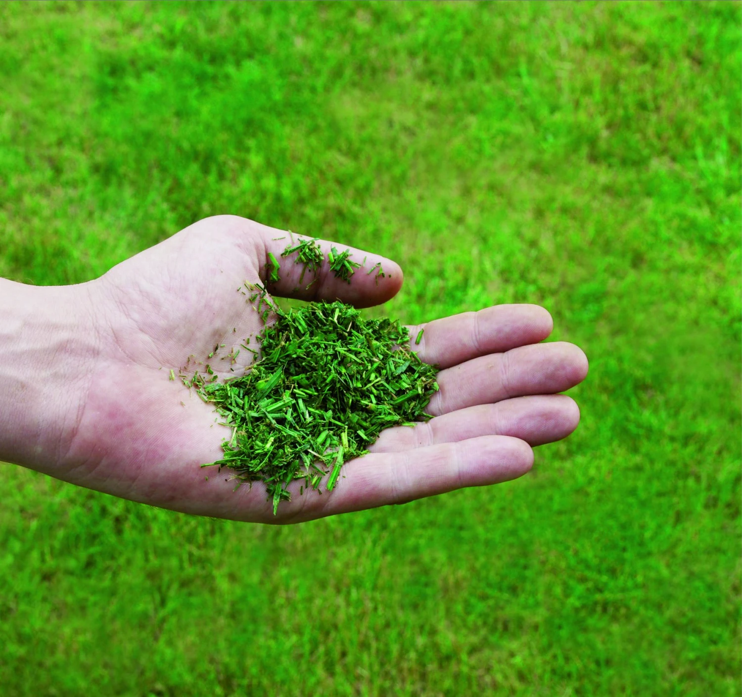 Einhell GC-PM 51/3 S HW-E Benzine Grasmaaier - 2700W - 170ccm 6 Einhell GC-PM 51/3 S HW-E Benzine Grasmaaier - 2700W - 170ccm - Afbeelding 6